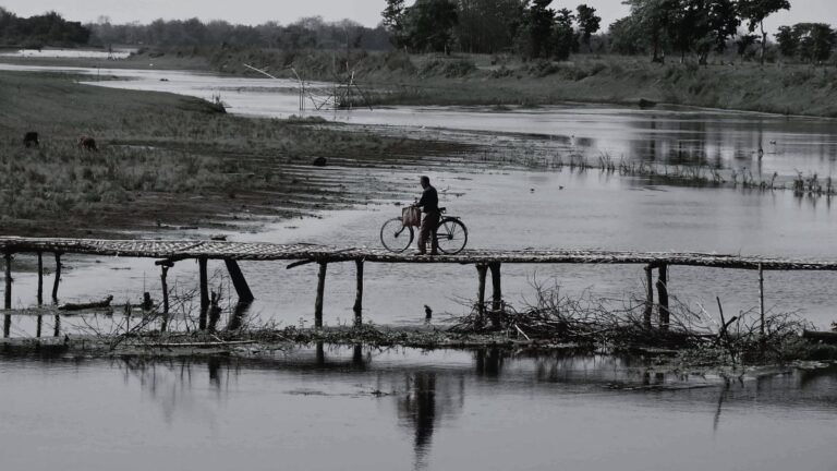 A person cycling on a bridge made by wood as a part of the every day Majuli Life.